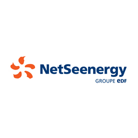 Logo NetSeenergy - Groupe EDF