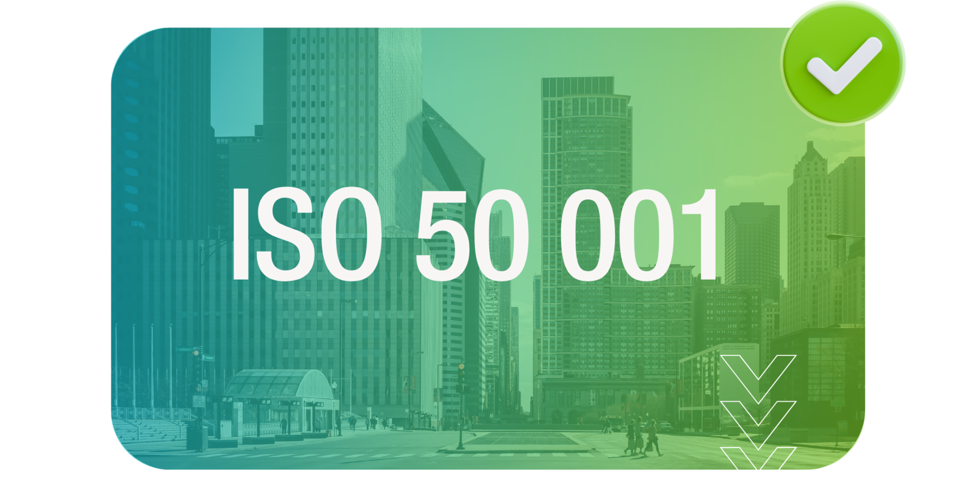 Vignettes Site itnernet (26)